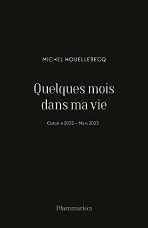 QUELQUES MOIS DANS MA VIE