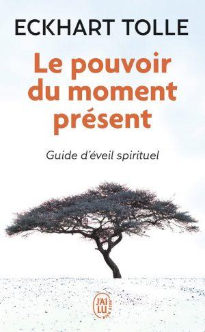 LE POUVOIR DU MOMENT PRESENT
