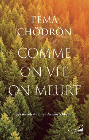 COMME ON VIT, ON MEURT - LES SECRETS DU LIVRE DES MORTS TIBETAIN