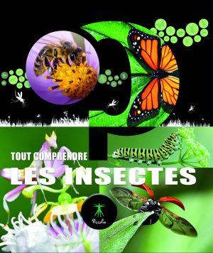 LES INSECTES - TOUT COMPRENDRE