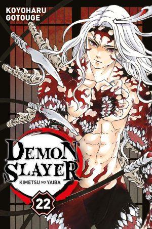 DEMON SLAYER - TOME 22 - DEMON SLAYER