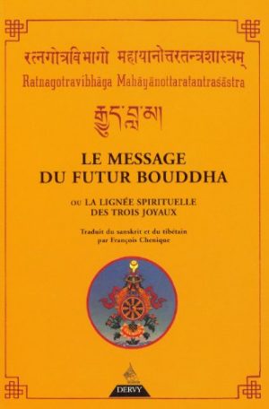 LE MESSAGE DU FUTUR BOUDDHA - OU LA LIGNEE SPIRITUELLE DES TROIS JOYAUX